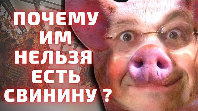Почему евреи и мусульмане не едят свинину ? Почему свиное мясо это харам и не кошерная пища ? Почему евреи и мусульмане не едят свинину ? Почему свиное мясо это харам и не кошерная пища ?
