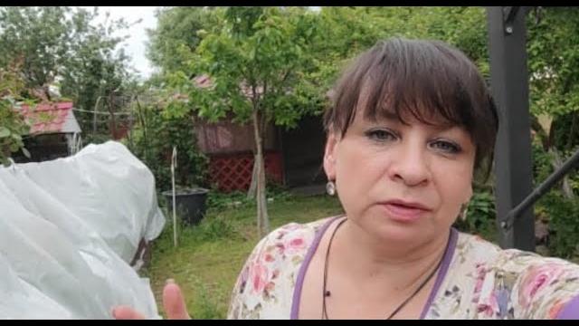 Опять все спасаю. Как вырастить сад на болоте. Готовлю фаршированные перчики. Жизнь семьи в деревне. Опять все спасаю. Как вырастить сад на болоте. Готовлю фаршированные перчики. Жизнь семьи в деревне.