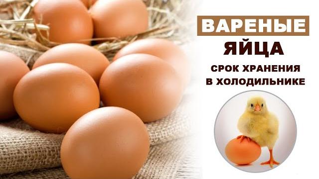 Вареные яйца - срок хранения в холодильнике Вареные яйца - срок хранения в холодильнике