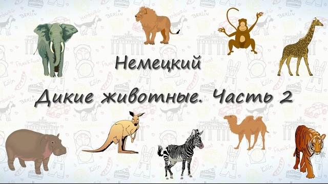 Животные на немецком. Дикие Животные. Часть 2 Животные на немецком. Дикие Животные. Часть 2