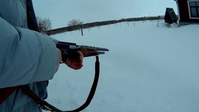 Бекас-авто ВПО-201М самопроизвольный выстрел Бекас-авто ВПО-201М самопроизвольный выстрел