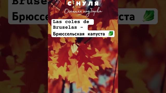 ИСПАНСКИЙ для начинающих с нуля СЛОВА и выражения на испанском про осень #испания #испанский #осень ИСПАНСКИЙ для начинающих с нуля СЛОВА и выражения на испанском про осень #испания #испанский #осень