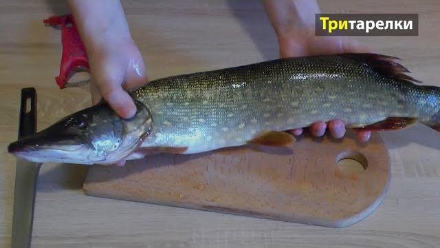 Маринованная щука рецепт в уксусе Маринованная щука рецепт в уксусе