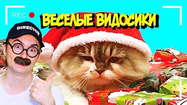 ВЕСЕЛЫЕ ВИДОСИКИ! 6 МИНУТ СМЕХА(ИЛИ НЕТ) ВЕСЕЛЫЕ ВИДОСИКИ! 6 МИНУТ СМЕХА(ИЛИ НЕТ)