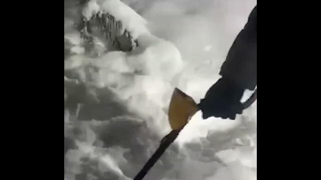 Видео с места убийства Ильи Кивы Видео с места убийства Ильи Кивы