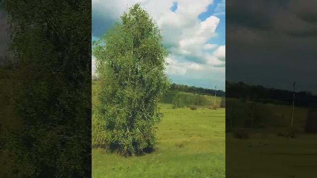 Россия.Липецкая область. Россия.Липецкая область.