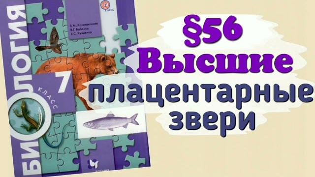 Краткий пересказ §56 Высшие или плацентарные: приматы. Биология 7 класс Константинова Бабенко Краткий пересказ §56 Высшие или плацентарные: приматы. Биология 7 класс Константинова Бабенко