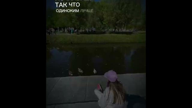#Шаблон #Видео #Что-то  #Шаблон #Видео #Что-то 