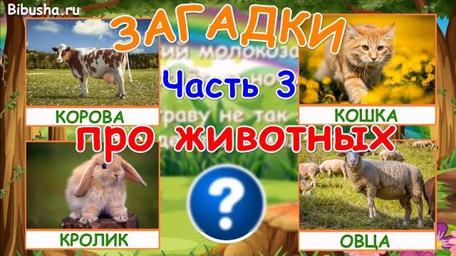 ЗАГАДКИ ПРО ЖИВОТНЫХ - Часть 3 | Загадки для детей ЗАГАДКИ ПРО ЖИВОТНЫХ - Часть 3 | Загадки для детей