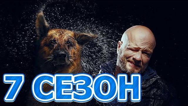Сериал Пес 7 сезон Сериал Пес 7 сезон