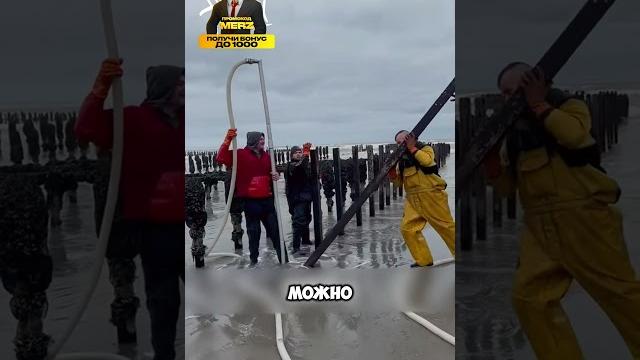 Вы перестанете есть мидии после этого видео! Вы перестанете есть мидии после этого видео!