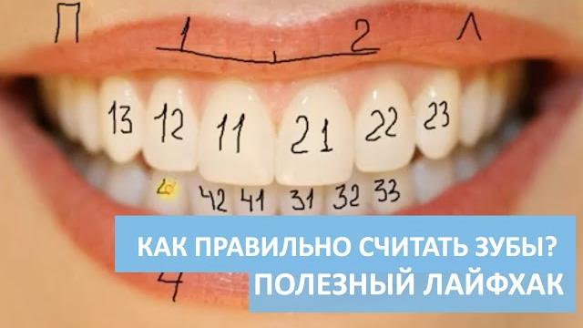 Урок 4. Как ПРАВИЛЬНО считать зубы? Полезный лайфхак от стоматолога для каждого человека Урок 4. Как ПРАВИЛЬНО считать зубы? Полезный лайфхак от стоматолога для каждого человека