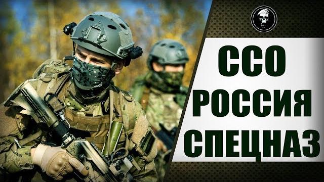 Силы специальных операций Силы специальных операций