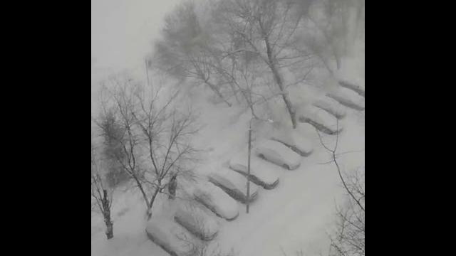 Циклон «Ольга» пришёл в Москву Циклон «Ольга» пришёл в Москву