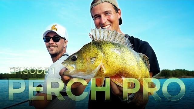 PERCH PRO 11 - Episode 1 PERCH PRO 11 - Episode 1