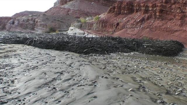 Amazing Flash Flood / Debris Flow Southern Utah HD Amazing Flash Flood / Debris Flow Southern Utah HD