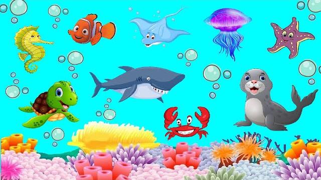 Морские животные для детей и малышей. Обитатели морей и океанов. Развивающие видео. Подводный Мир. Морские животные для детей и малышей. Обитатели морей и океанов. Развивающие видео. Подводный Мир.