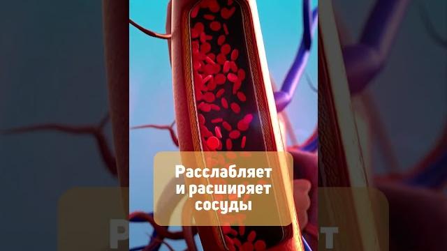 Почему какао полезно пить каждый день Почему какао полезно пить каждый день