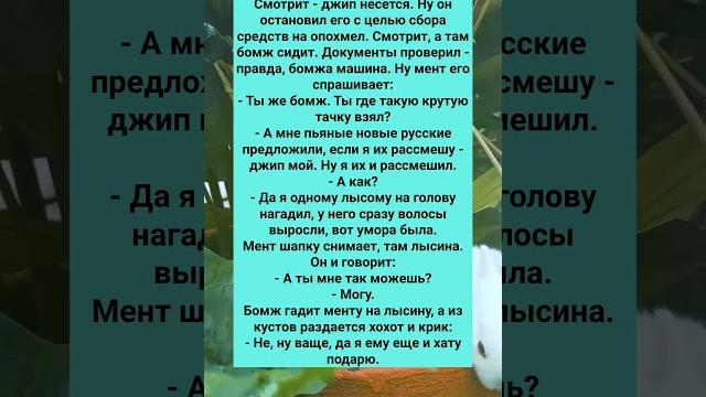 СТАРЫЙ СМЕШНОЙ АНЕКДОТ ПРО ГАИШНИКА #анекдоты #Юмор #История #Жизнь #Анекдот #Прикол #РАЗВОД #США СТАРЫЙ СМЕШНОЙ АНЕКДОТ ПРО ГАИШНИКА #анекдоты #Юмор #История #Жизнь #Анекдот #Прикол #РАЗВОД #США