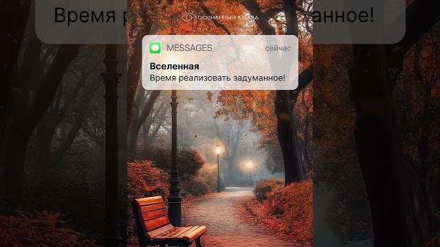 У вас одно новое сообщение. У вас одно новое сообщение.