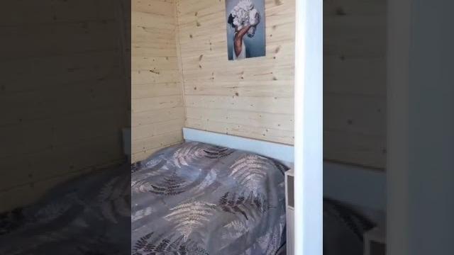 видео 24 видео 24