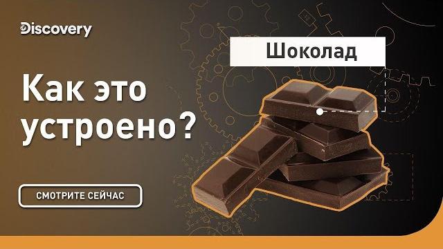 Шоколад | Как это устроено | Discovery Шоколад | Как это устроено | Discovery