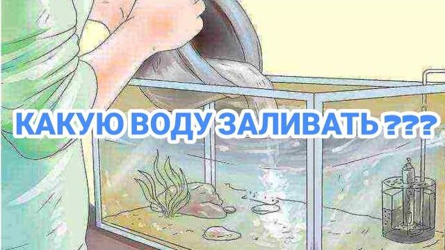 КАКУЮ ВОДУ ЗАЛИВАТЬ В АКВАРИУМ !? КАКУЮ ВОДУ ЗАЛИВАТЬ В АКВАРИУМ !?