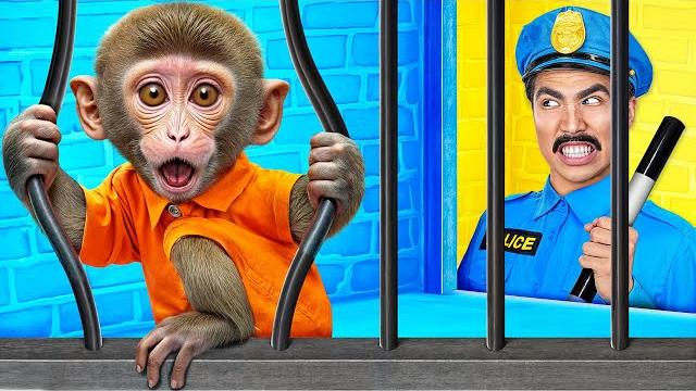 Monkey Escape from Pets Prison by Multi DO Smile Monkey Escape from Pets Prison by Multi DO Smile