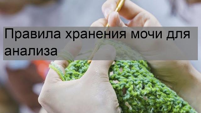 Правила хранения мочи для анализа Правила хранения мочи для анализа