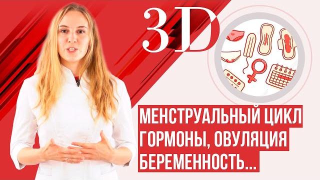 Менструальный цикл, гормоны, менструация. Лучшее видео. Менструальный цикл, гормоны, менструация. Лучшее видео.