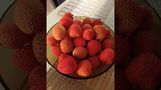 личи личи