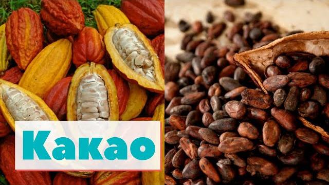 Какао | Как это сделано | Cacao Какао | Как это сделано | Cacao