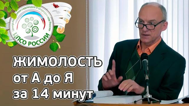 ЖИМОЛОСТЬ. Все о выращивании жимолости за 14 минут. ЖИМОЛОСТЬ. Все о выращивании жимолости за 14 минут.