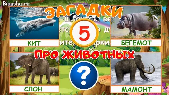 Загадки для детей | ЗАГАДКИ ПРО ЖИВОТНЫХ - Часть 1 Загадки для детей | ЗАГАДКИ ПРО ЖИВОТНЫХ - Часть 1