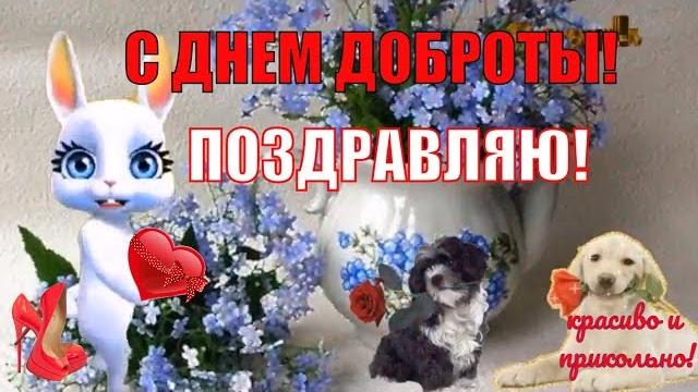 Прикольное поздравление С Днем Добротывсемирный день доброты️видео поздравление с днем доброты Прикольное поздравление С Днем Добротывсемирный день доброты️видео поздравление с днем доброты