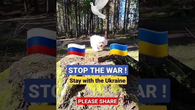 stand with ukraine - #standwithukraine stand with ukraine - #standwithukraine