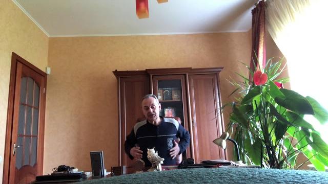Зудит и чешется всё тело, что это значит. Зудит и чешется всё тело, что это значит.