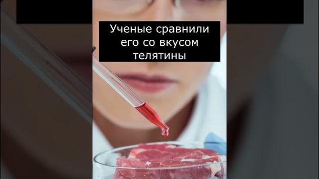 Какое на вкус человеческое мясо? Какое на вкус человеческое мясо?