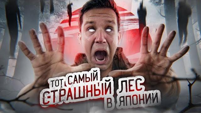 ТОТ САМЫЙ СТРАШНЫЙ ЛЕС В ЯПОНИИ! ПРОВЕЛ ТАМ НОЧЬ | GhostBuster ТОТ САМЫЙ СТРАШНЫЙ ЛЕС В ЯПОНИИ! ПРОВЕЛ ТАМ НОЧЬ | GhostBuster
