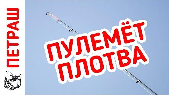 РЫБАЛКА на Фидер. ПУЛЕМЁТ ПЛОТВА. Советы начинающим. РЫБАЛКА на Фидер. ПУЛЕМЁТ ПЛОТВА. Советы начинающим.