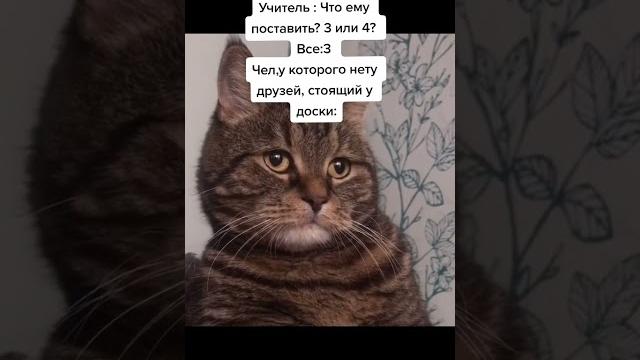 Cамое грустное видео!#shorts Cамое грустное видео!#shorts