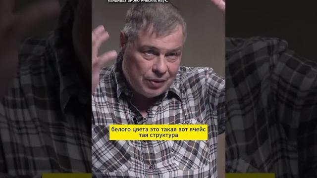 Кашалот и его способности Кашалот и его способности