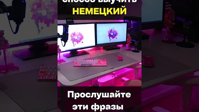 Разговорный немецкий для начинающих - УРОК 3. Немецкий по плейлистам. Подборка фраз на каждый день Разговорный немецкий для начинающих - УРОК 3. Немецкий по плейлистам. Подборка фраз на каждый день