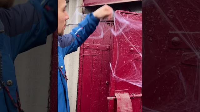 Огромный паук в нашей деревни! Огромный паук в нашей деревни!