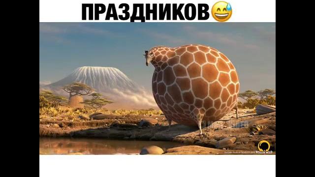Толстые животные Толстые животные