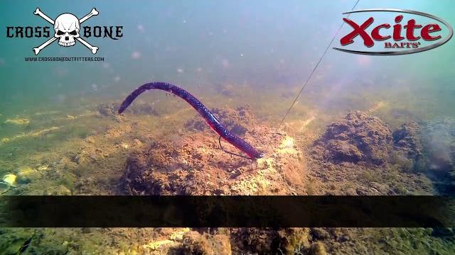 XCite Baits Maximus Awesome Bass Fishing XCite Baits Maximus Awesome Bass Fishing