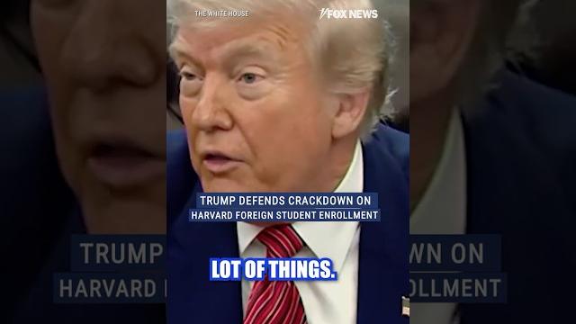 Trump warns Harvard it must ‘change its ways’ #foxnews #shorts #news #us #trump #college #politics Trump warns Harvard it must ‘change its ways’ #foxnews #shorts #news #us #trump #college #politics