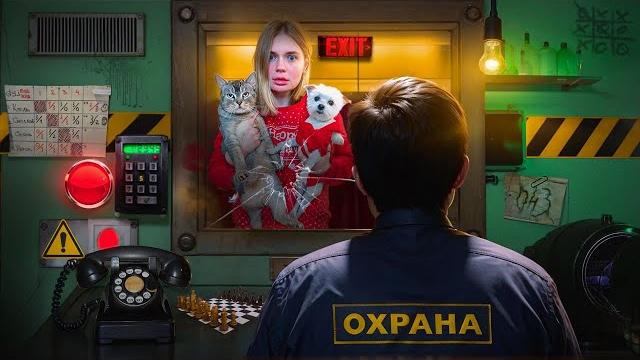 ЭТО НЕ МОЙ СОСЕД В РЕАЛЬНОЙ ЖИЗНИ С КОТОМ И СОБАКОЙ ЭТО НЕ МОЙ СОСЕД В РЕАЛЬНОЙ ЖИЗНИ С КОТОМ И СОБАКОЙ
