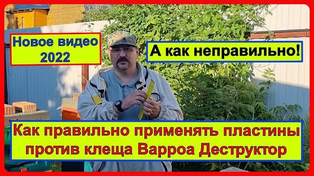 Если уж и применять пластины от клеща Варроа, то правильные. Видео для начинающих пчеловодов Если уж и применять пластины от клеща Варроа, то правильные. Видео для начинающих пчеловодов