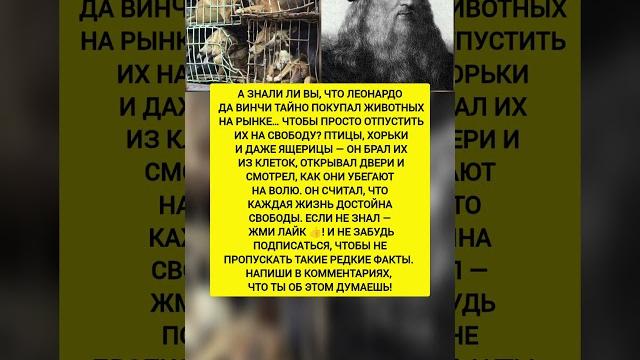 Он покупал животных… чтобы отпустить их на свободу. Интересные факты и история. #история #факты Он покупал животных… чтобы отпустить их на свободу. Интересные факты и история. #история #факты